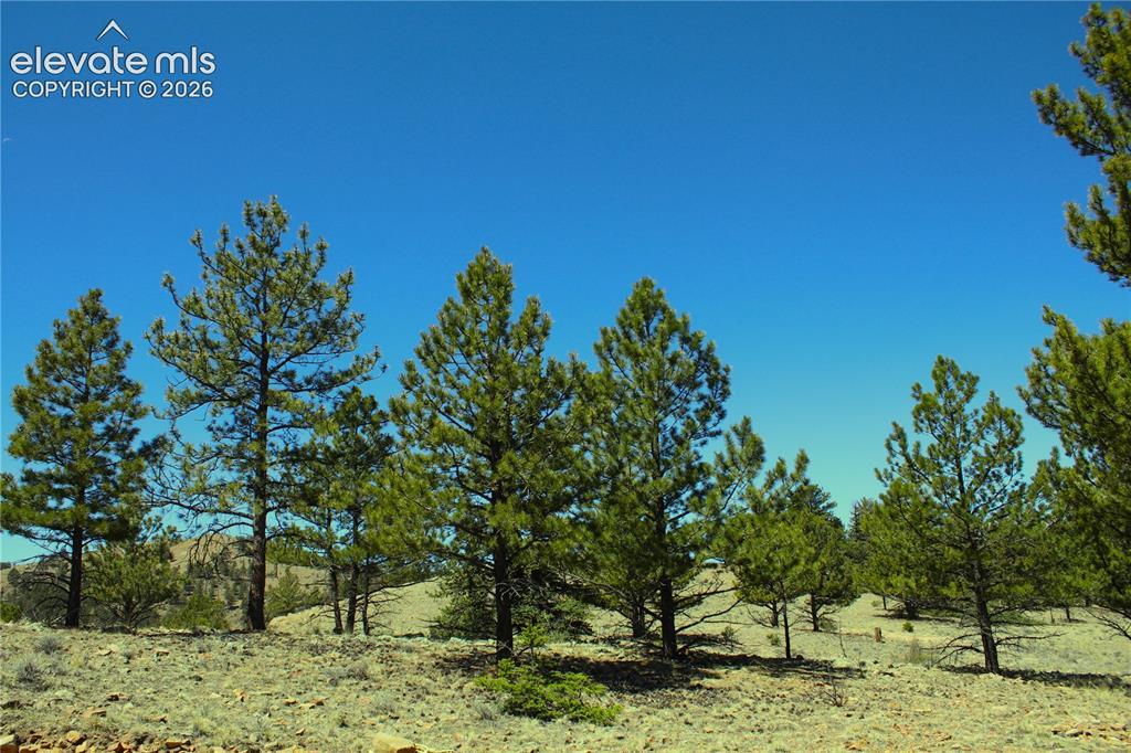 12451 Highway 24 Hwy., Hartsel, CO 80449