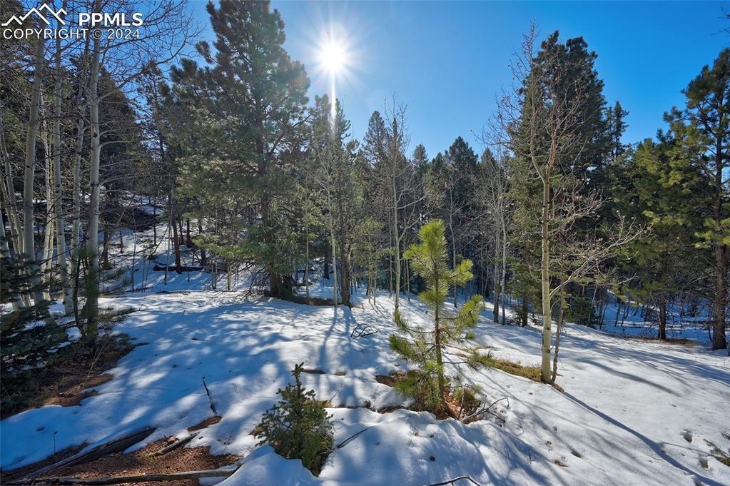 412 Princess Rd., Cripple Creek, CO 80813