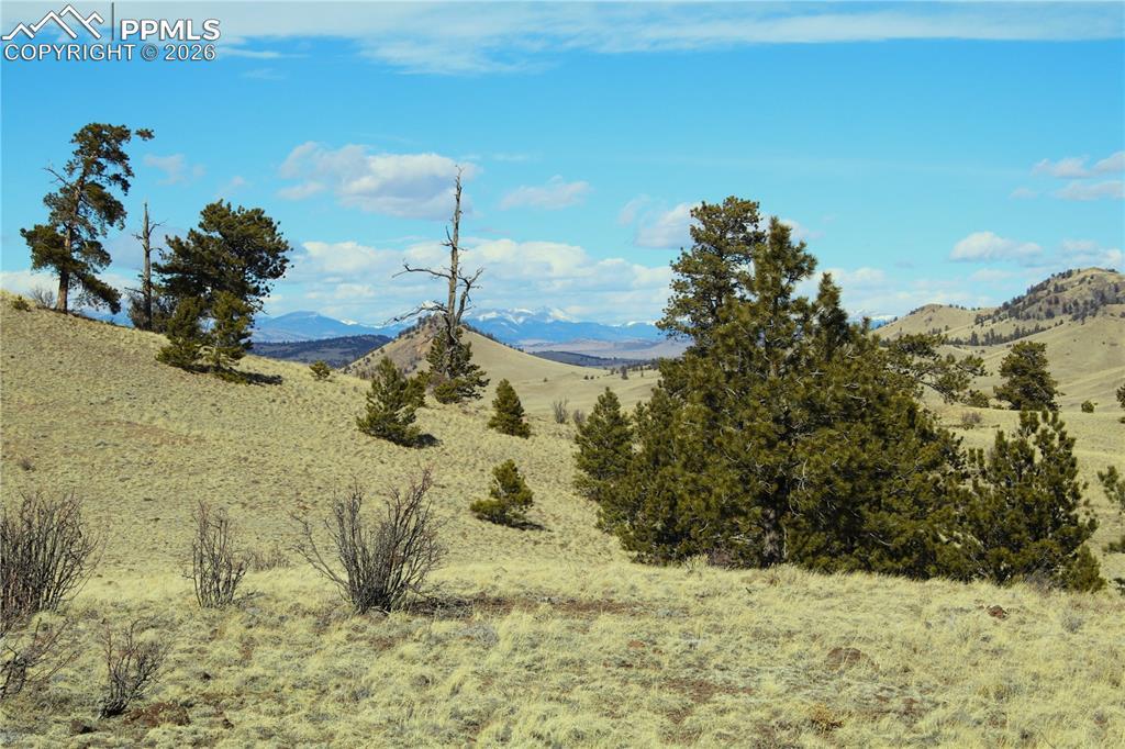 Ahlers Rd., Hartsel, CO 80449