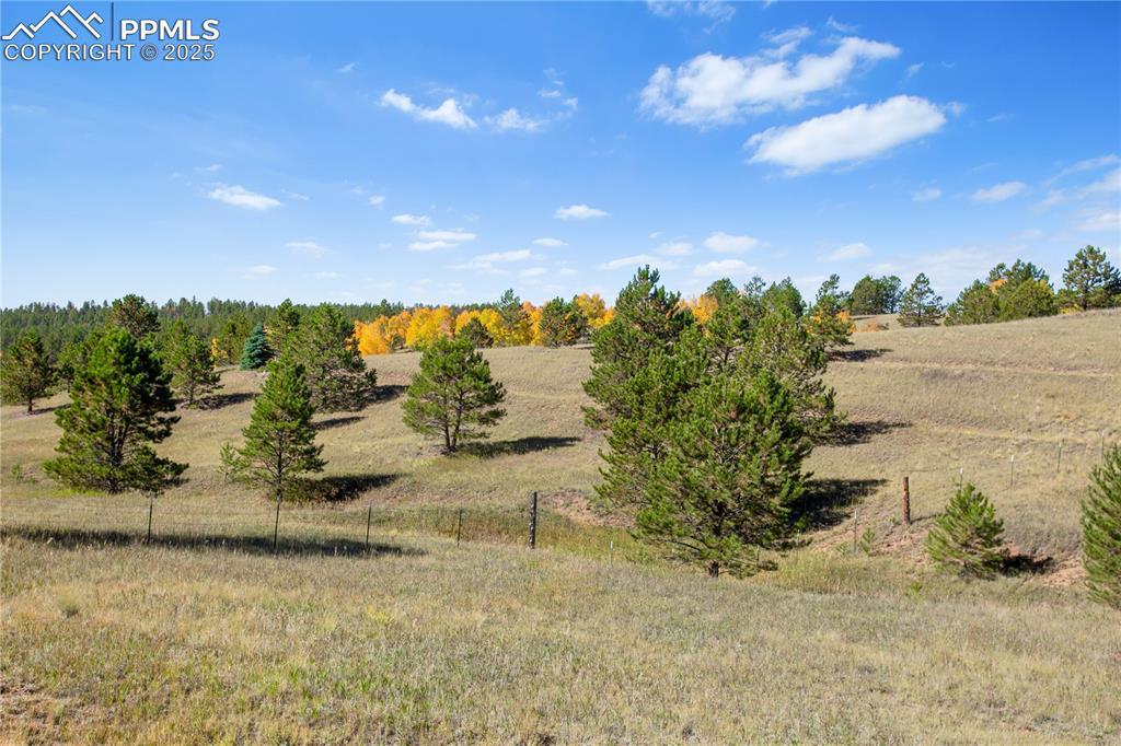 826 Chipeta Creek Tr., Florissant, CO 80816