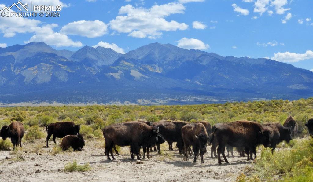 6150 Tim Rd., Garcia, CO 81152