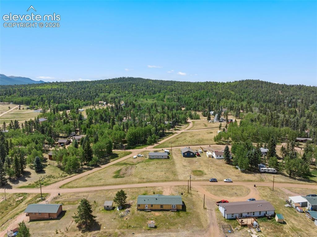 85 Aspen Dr., Divide, CO 80814