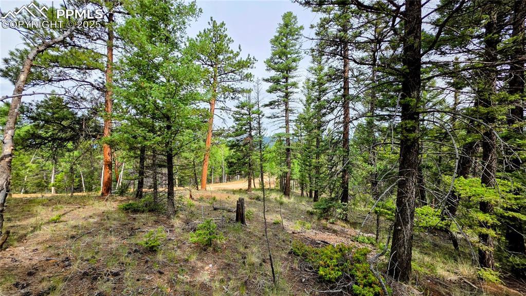 223 Shavano Creek Tr., Florissant, CO 80816