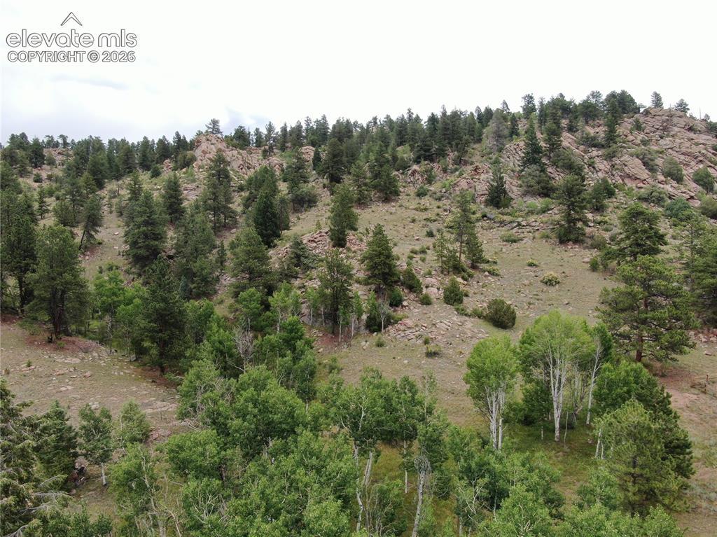 76 Crocus Cir., Florissant, CO 80816