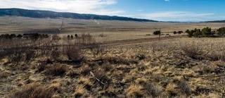 3503 Redhill Rd., Florissant, CO 80440