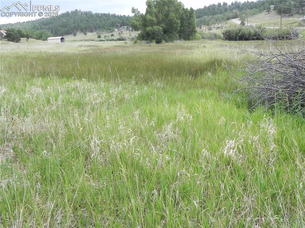 6 Kiva Path, Lake George, CO 80827