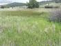 New Homes For Sale This Week in Lake George: July 25th to July 31st