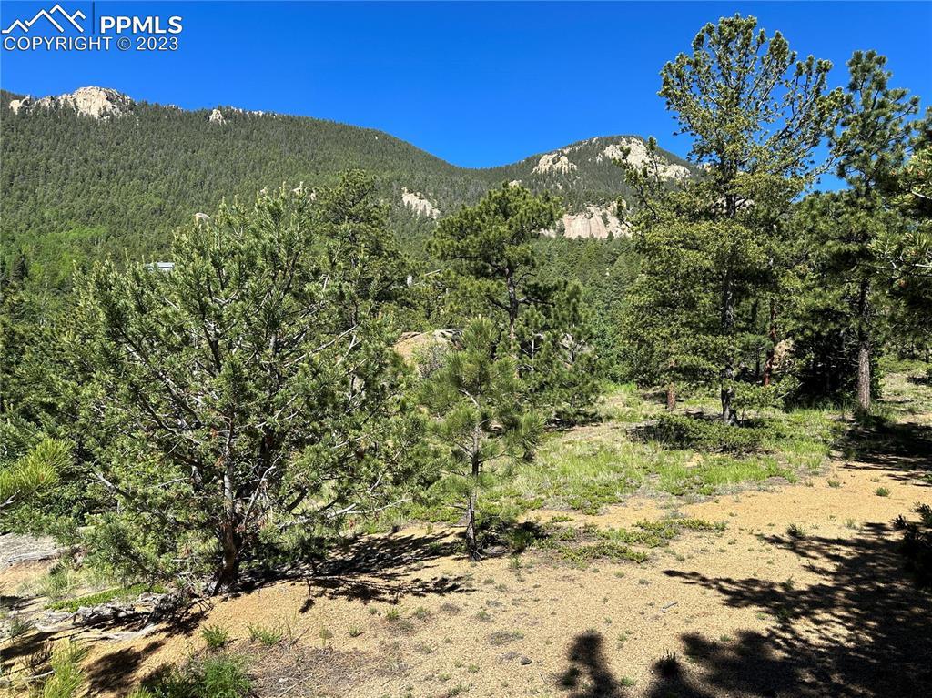 235 Waterfall Rd., Manitou Springs, CO 80829