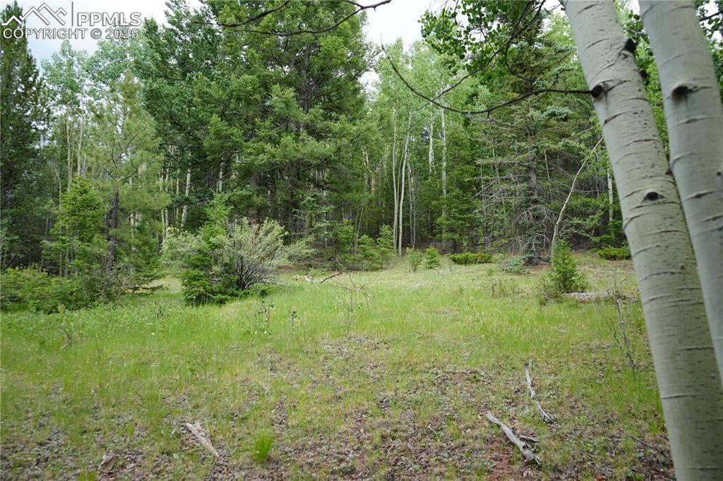 1406 Monarch Dr., Cripple Creek, CO 80813