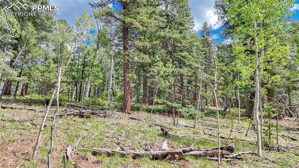 94 E Mariposa Cir., Cripple Creek, CO 80813