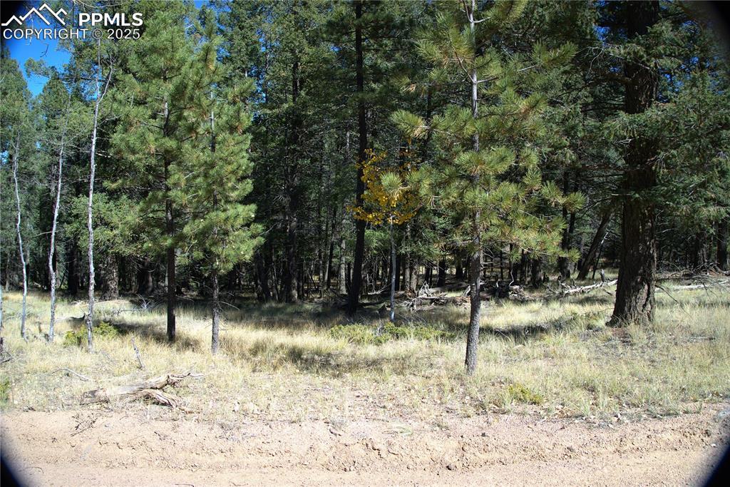 252 Southpark Rd., Florissant, CO 80816