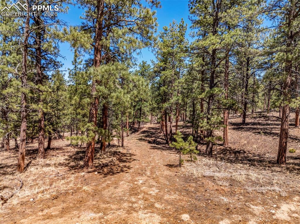 185 Sioux Tr., Westcliffe, CO 81252