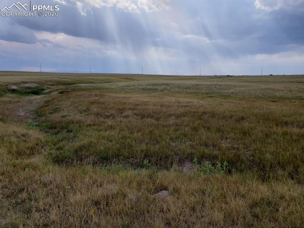 8155 Cowboy Ranch View, Falcon, CO 80831