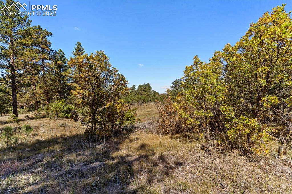 Hidden Meadows Point, Colorado Springs, CO 80908