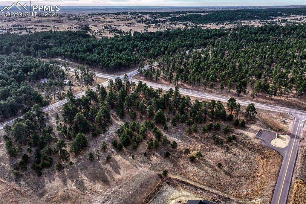 16511 Early Light Dr., Colorado Springs, CO 80908