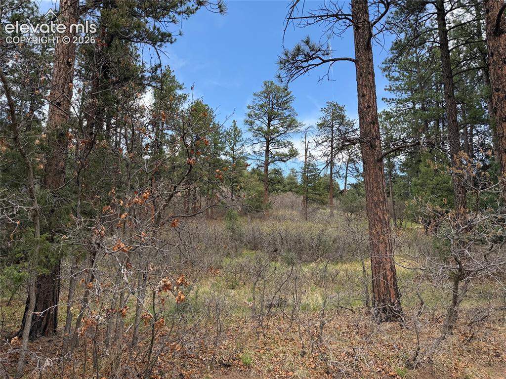 4885 Red Rock Dr., Larkspur, CO 80118