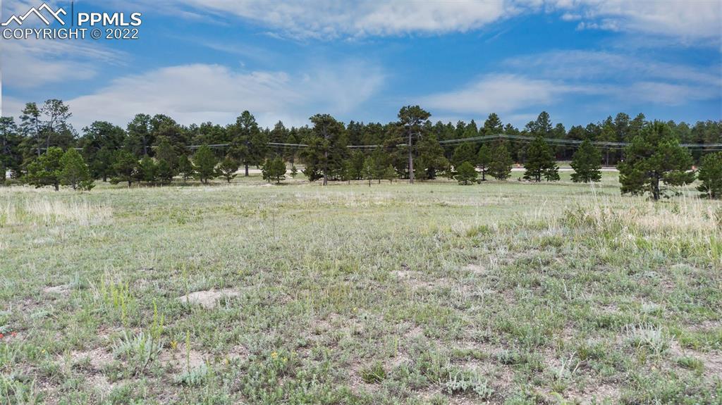 11809 Flap Jack Ln., Colorado Springs, CO 80908