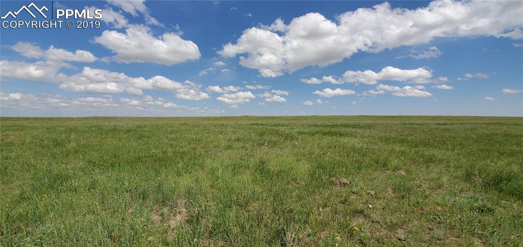 7507 Buckskin Ranch View, Peyton, CO 80831