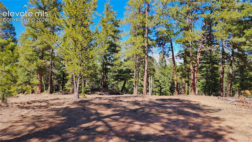 178 Gerka Ln., Florissant, CO 80816