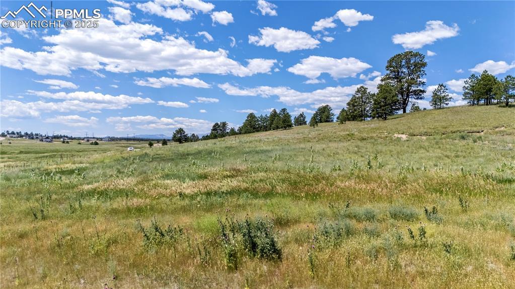 10906 Alamar Way, Colorado Springs, CO 80908