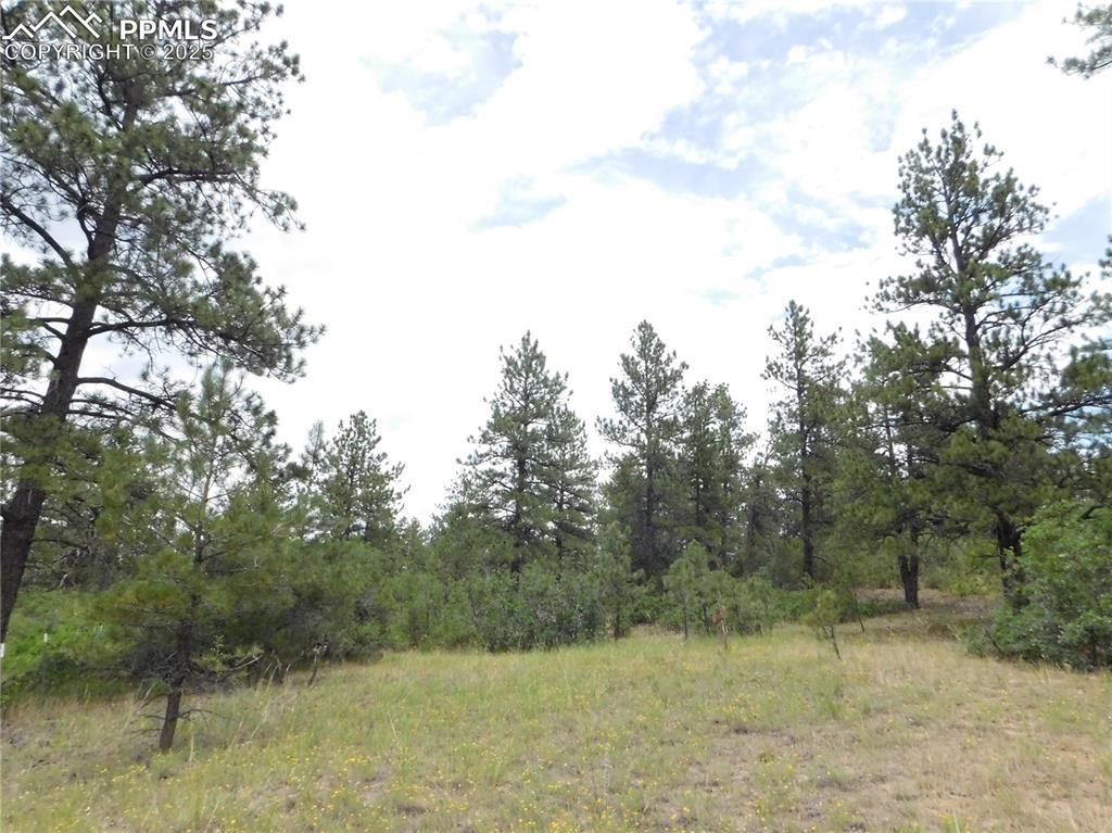 R0173956 Pasque Ct., Larkspur, CO 80118