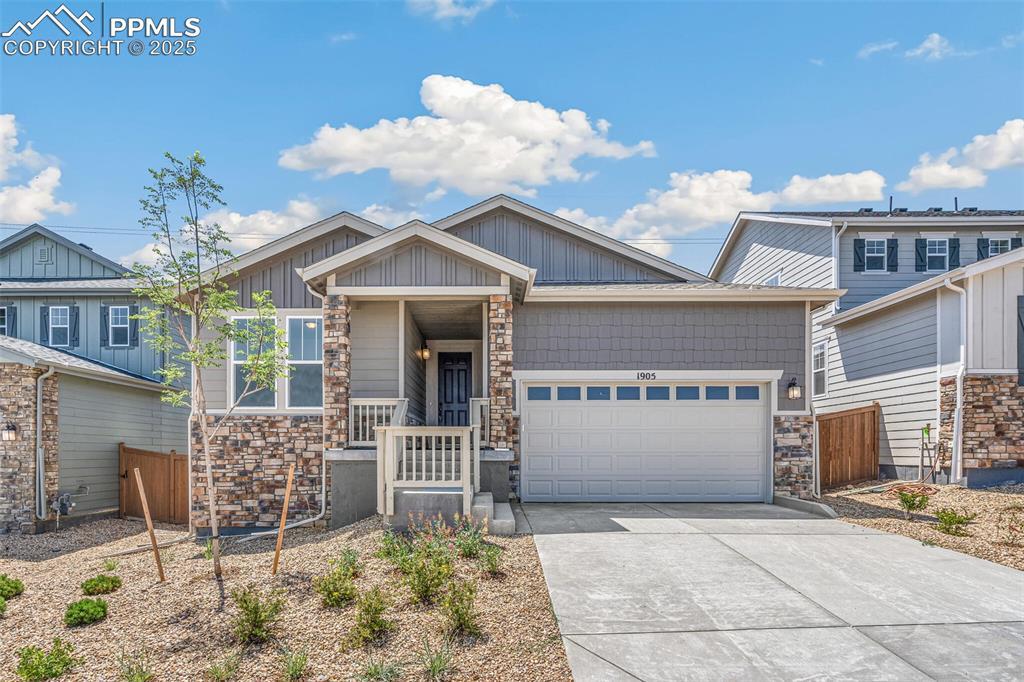 1905 Water Birch Way, Castle Rock, CO 80108