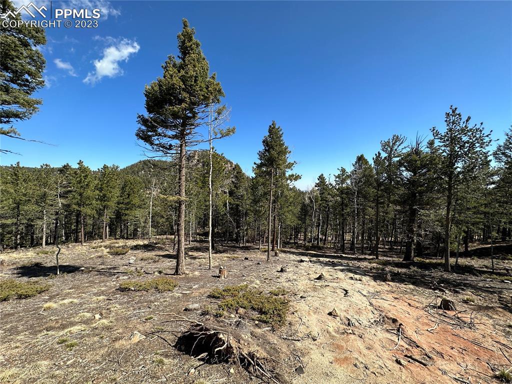 409 Ponderosa View, Manitou Springs, CO 80829