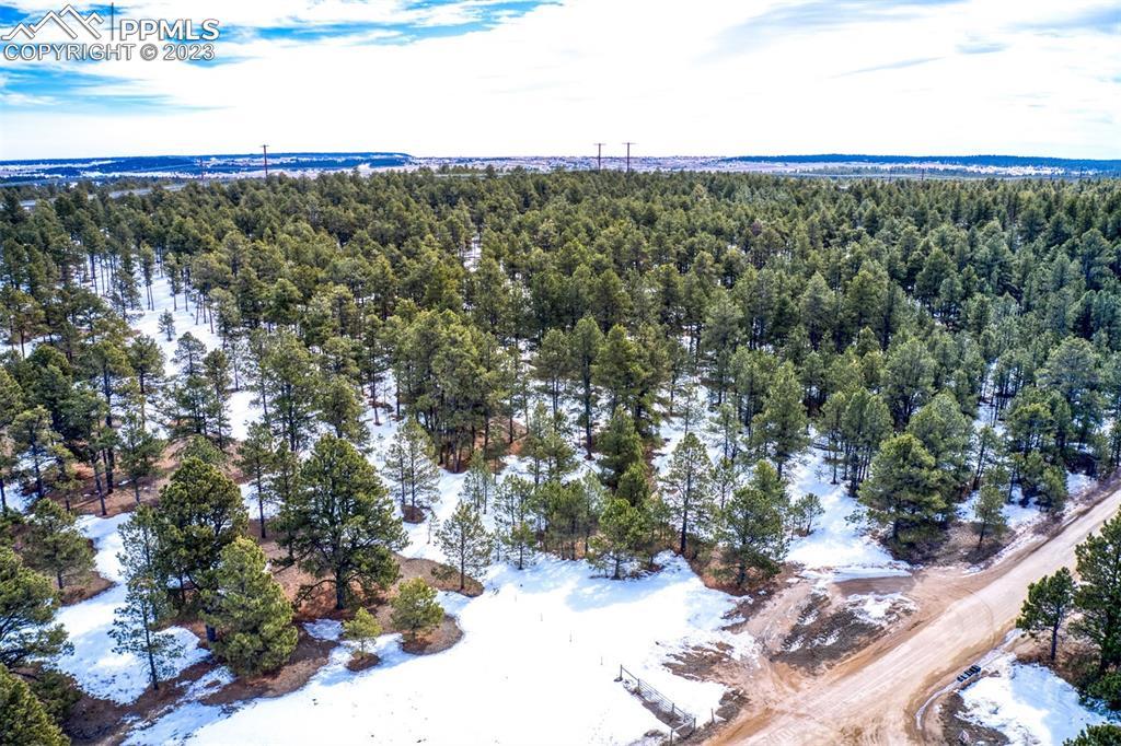 18520 Black Squirrel Rd., Colorado Springs, CO 80908