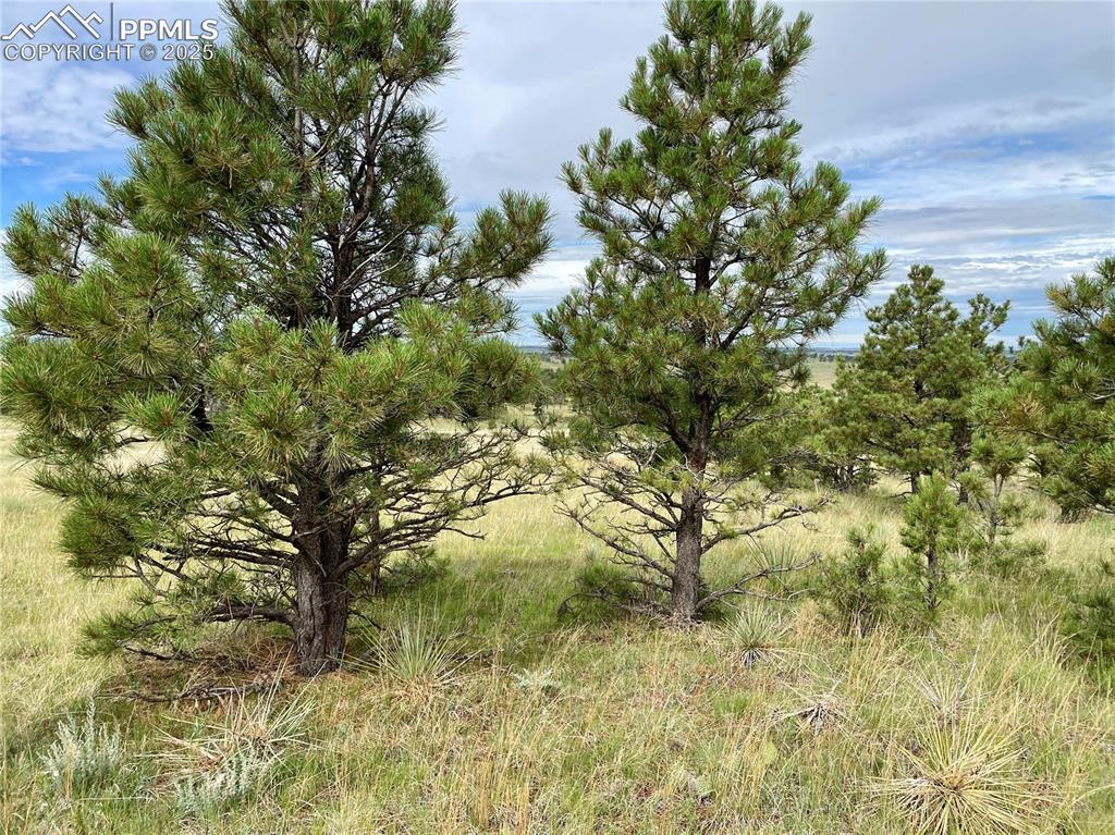 31963 Cattle Cir., Ramah, CO 80832