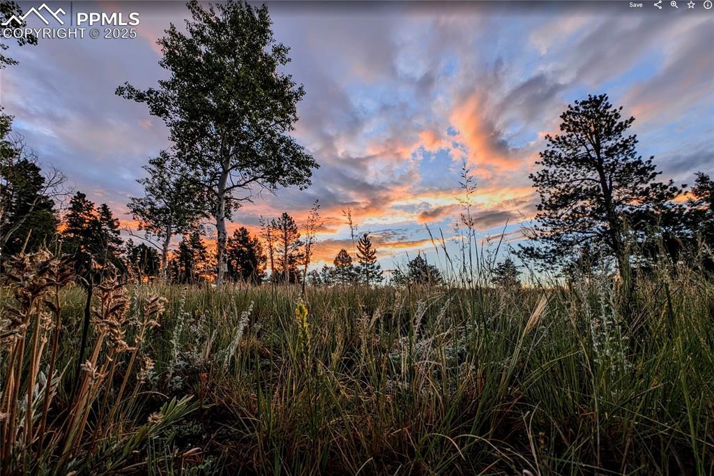 4687 W Highway 24, Florissant, CO 80816