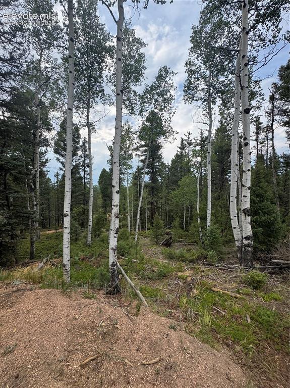 111 Elk Creek Dr., Divide, CO 80814