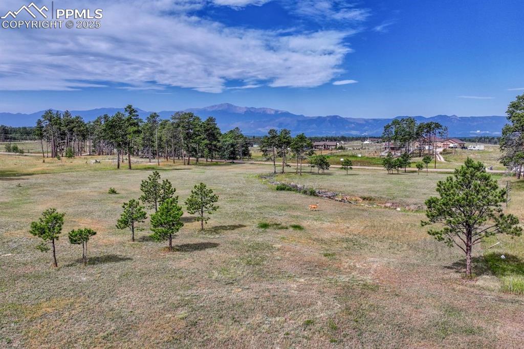 LOT 4 Forest Heights Cir., Colorado Springs, CO 80908