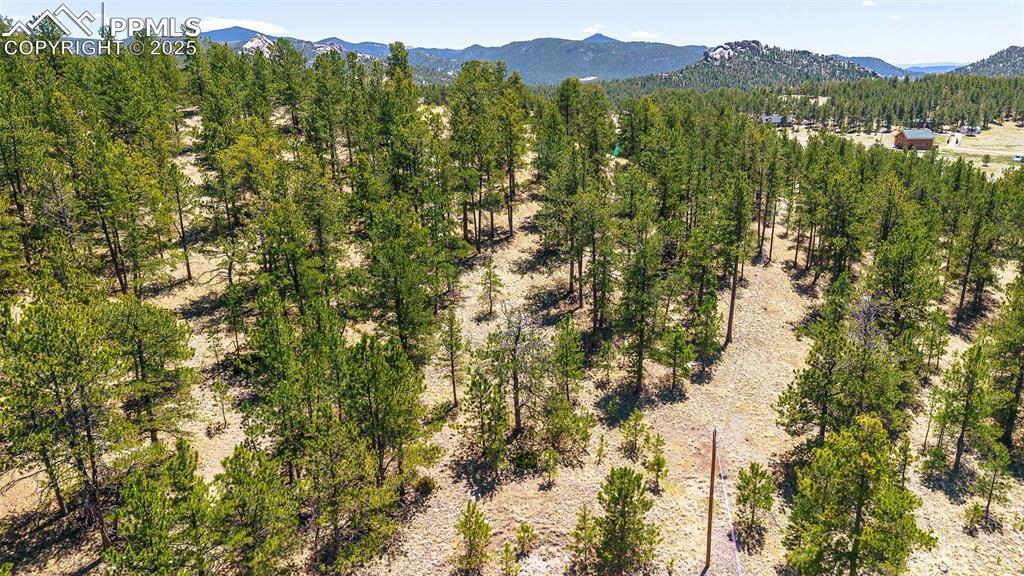 56 Dallas Park Cir., Florissant, CO 80816