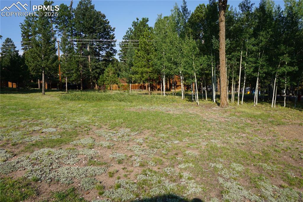 W Bowman Ave., Woodland Park, CO 80863