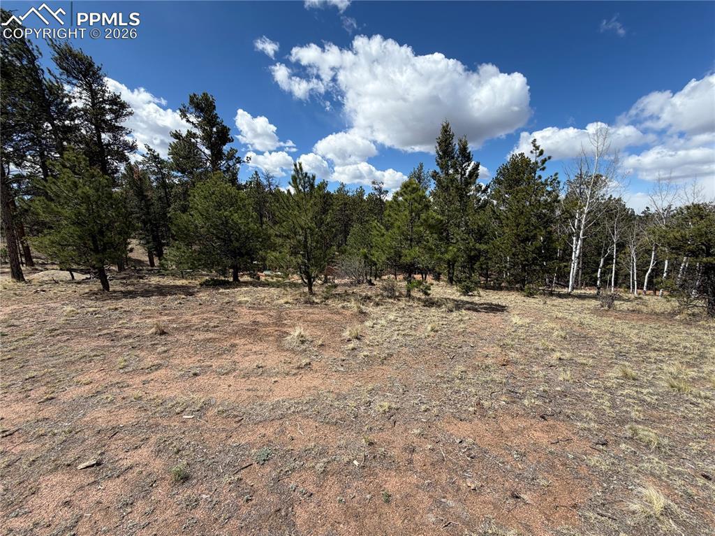 2988 Pikes Peak Dr., Florissant, CO 80816
