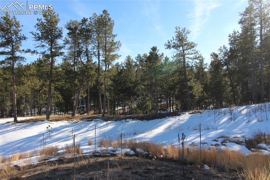 12232 Goodson Rd., Colorado Springs, CO 80908