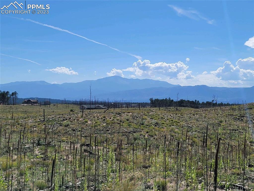 13185 Herring Rd., Colorado Springs, CO 80908