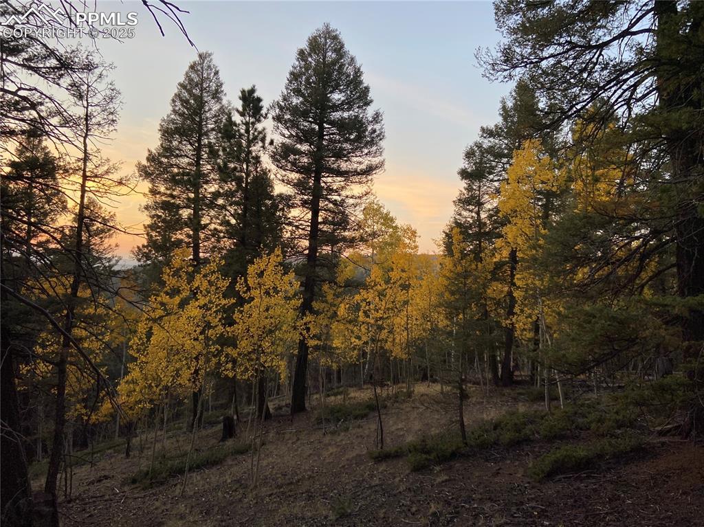835 Bennett Dr., Cripple Creek, CO 80813