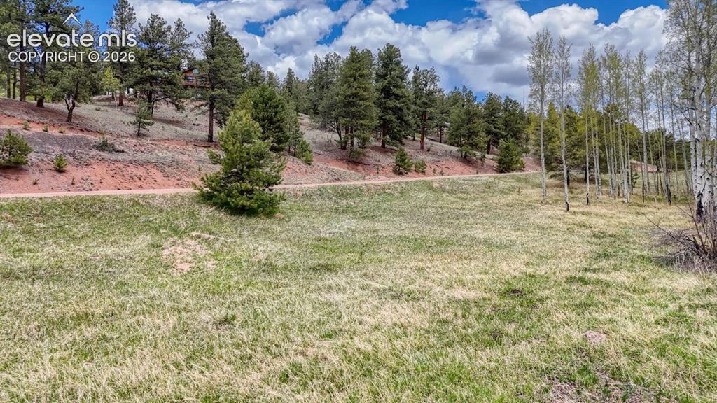 42 Rabbit Cir., Florissant, CO 80816