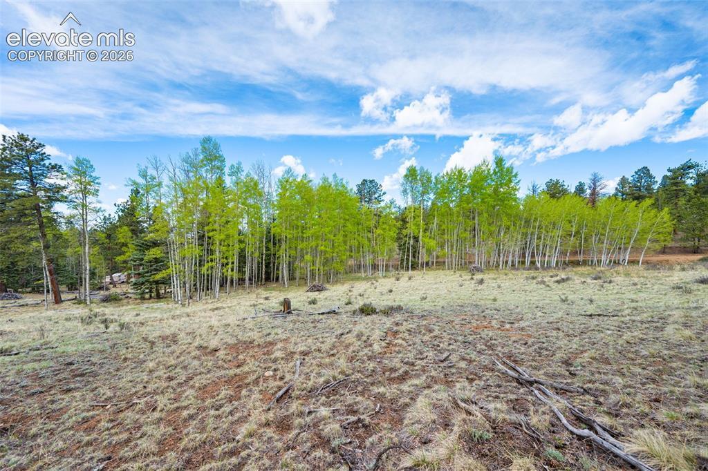57 Beaver Creek Dr., Lake George, CO 80827