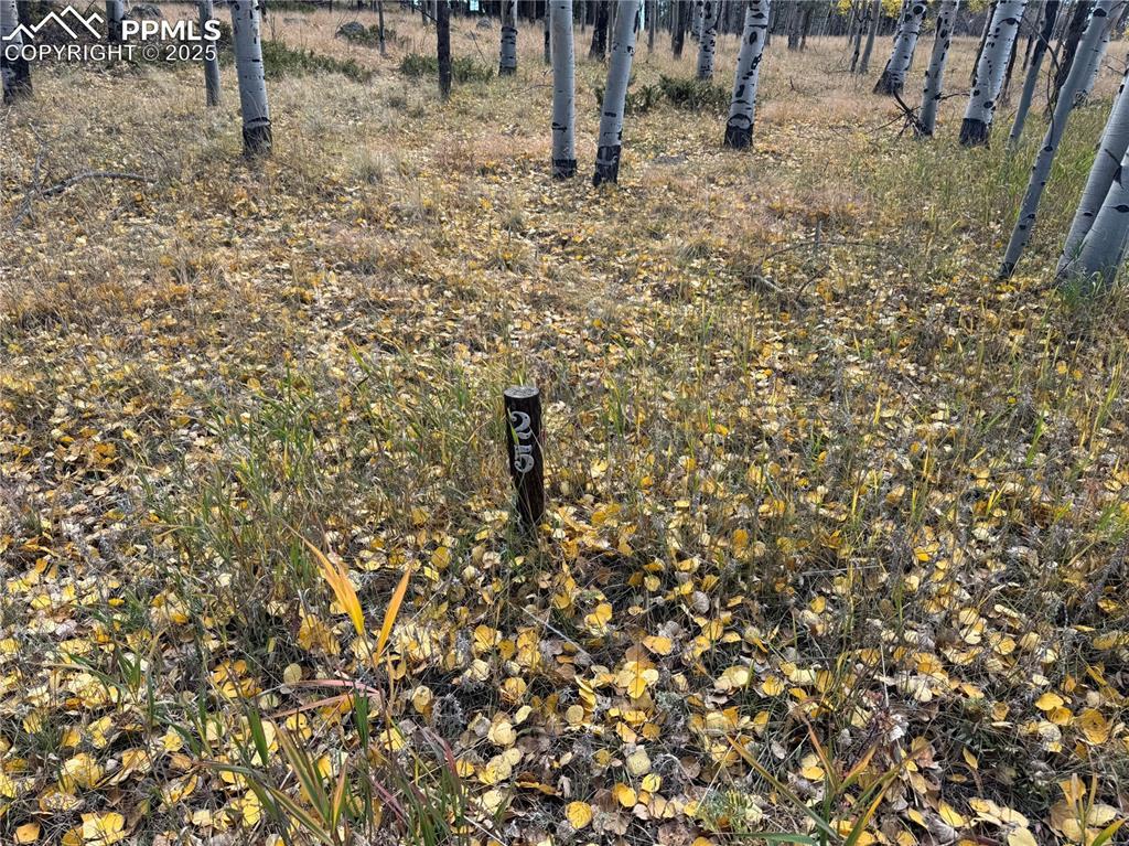 Lot 25 County Road 403, Guffey, CO 80820