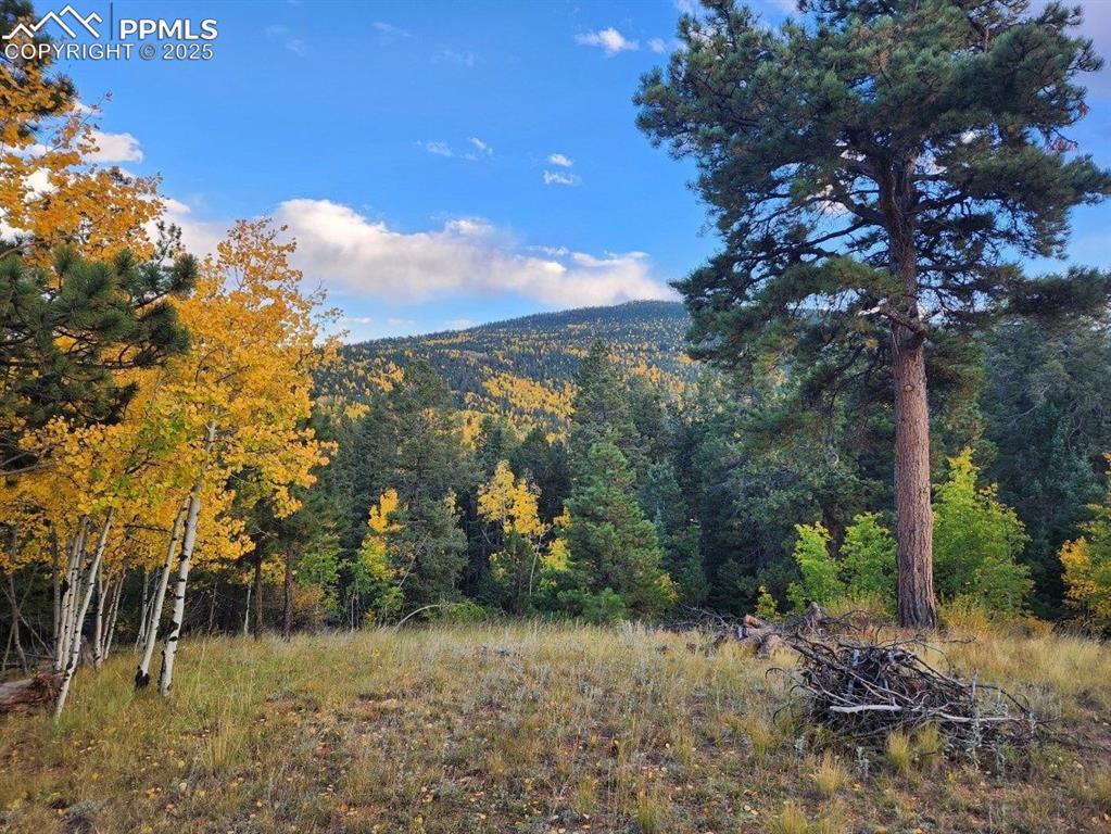 2642 Yorktown Rd., Cripple Creek, CO 80813