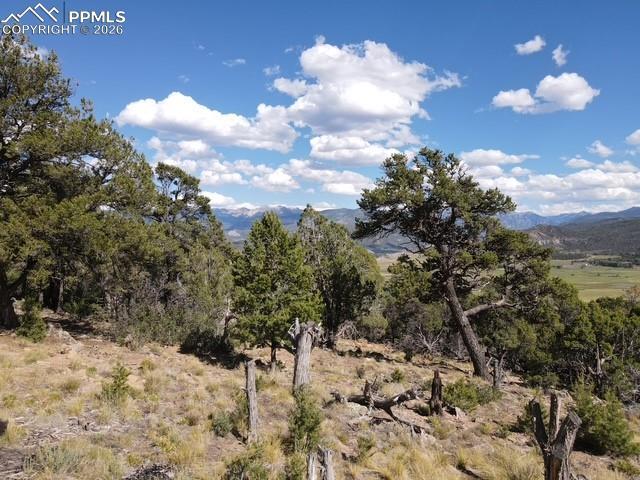 94 Jacks Pl., Ridgway, CO 81432