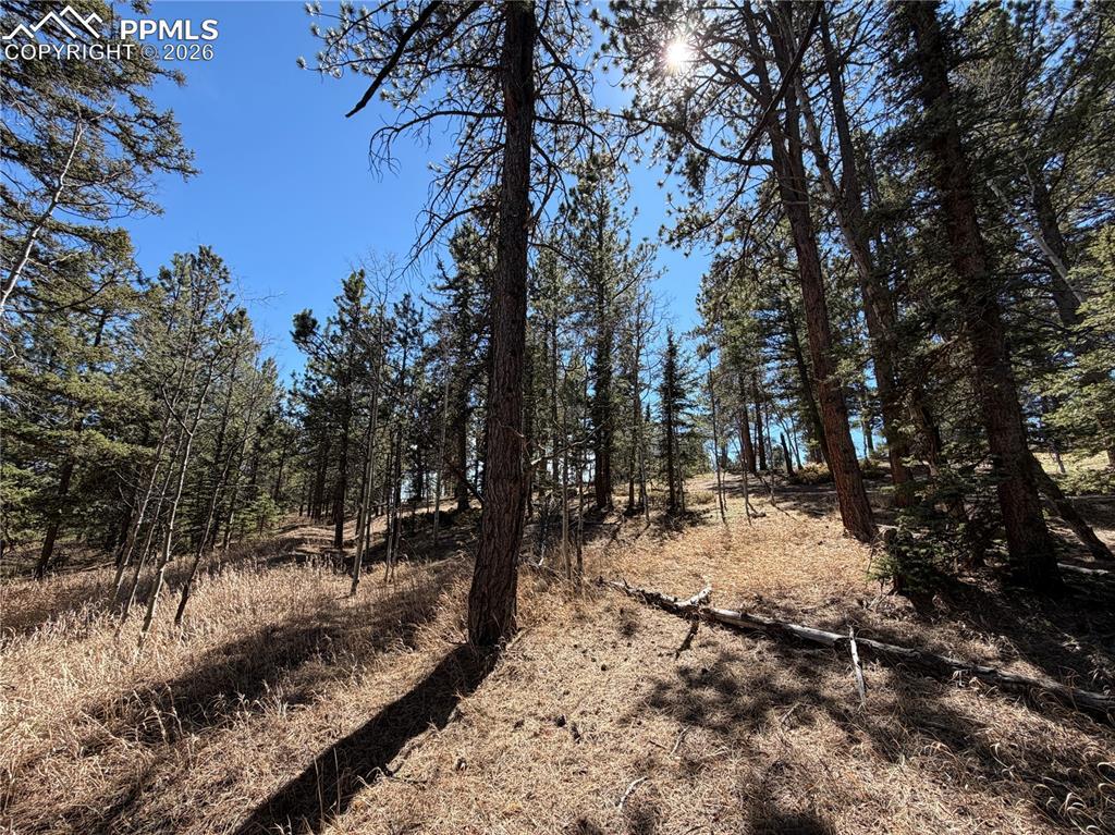 249 Gold Dust Creek Rd., Florissant, CO 80816