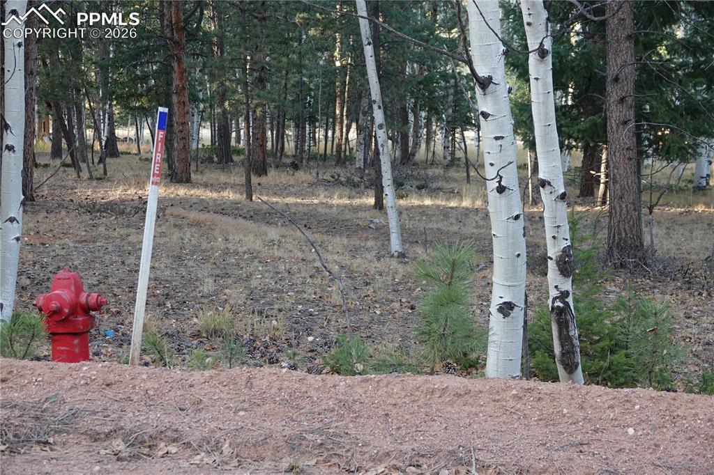 1360 Windflower Ln., Woodland Park, CO 80863