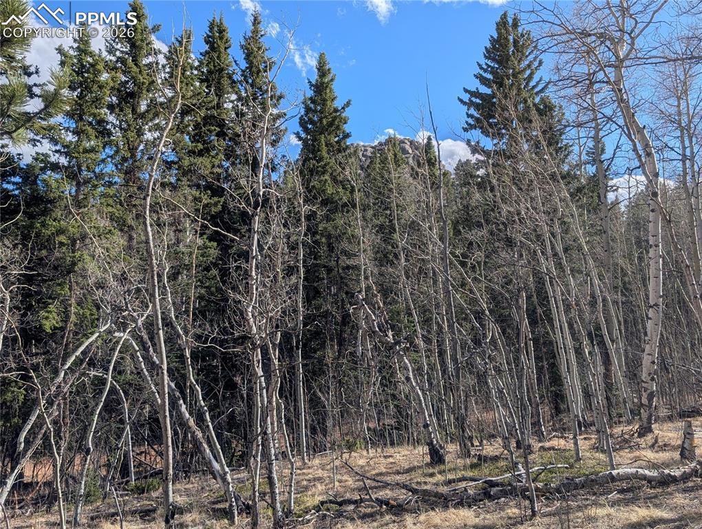 585 Eagle Rock Rd., Florissant, CO 80816