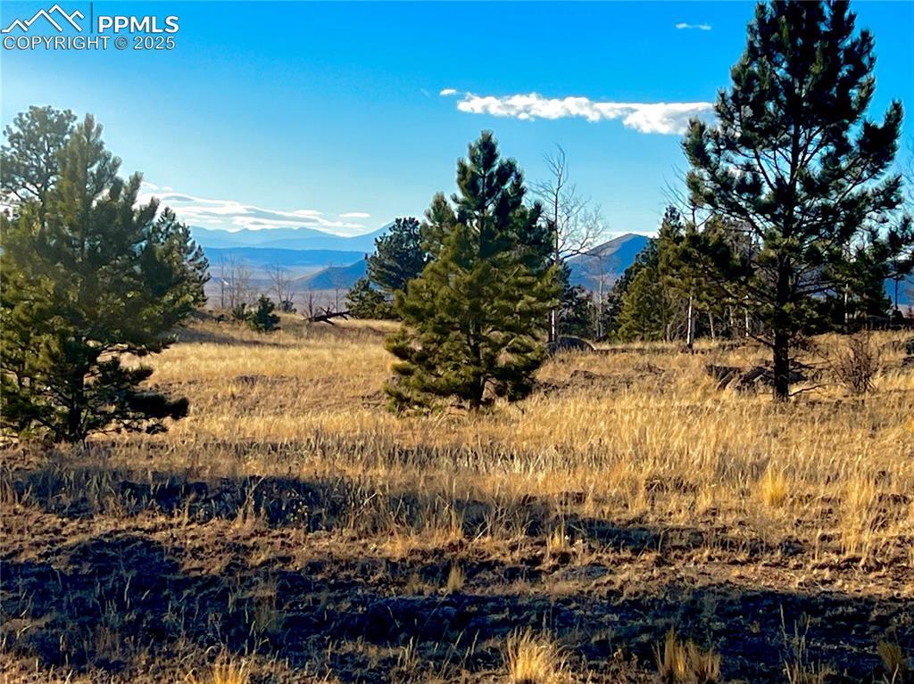 215 Topaz Rd., Lake George, CO 80827