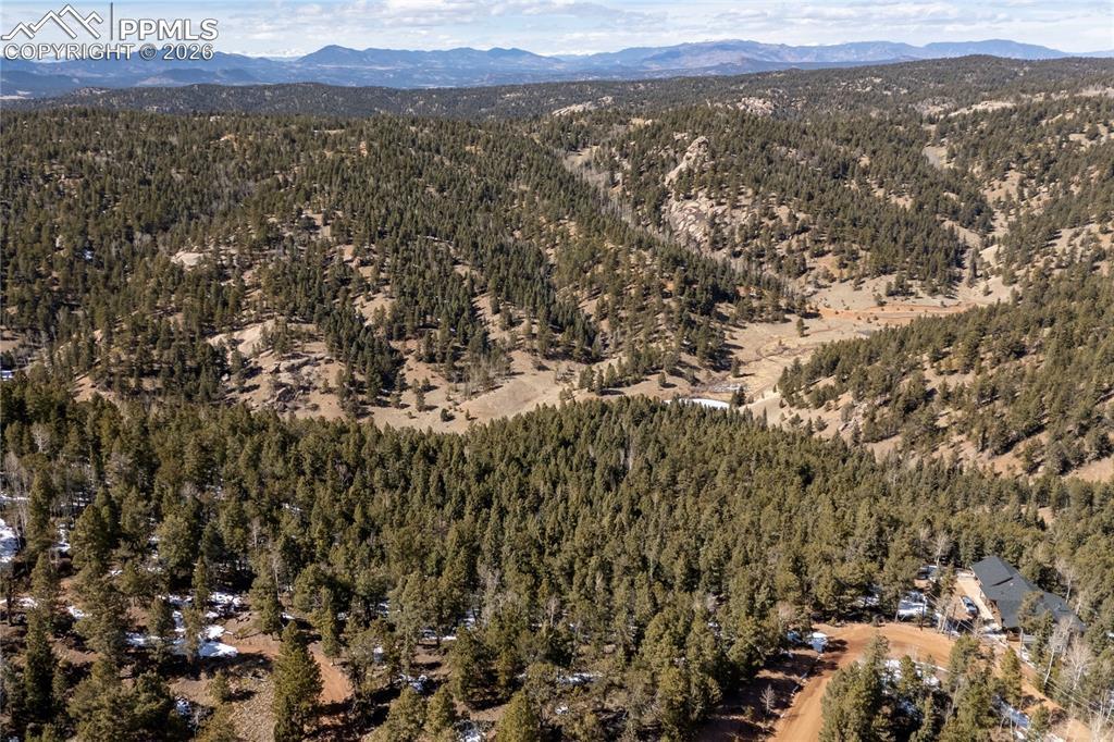 81 Haven Rd., Divide, CO 80814