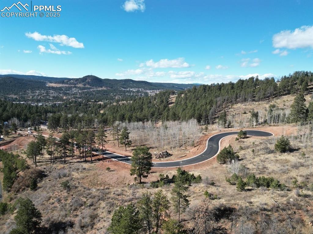 1380 Blue Haven Pl., Woodland Park, CO 80863