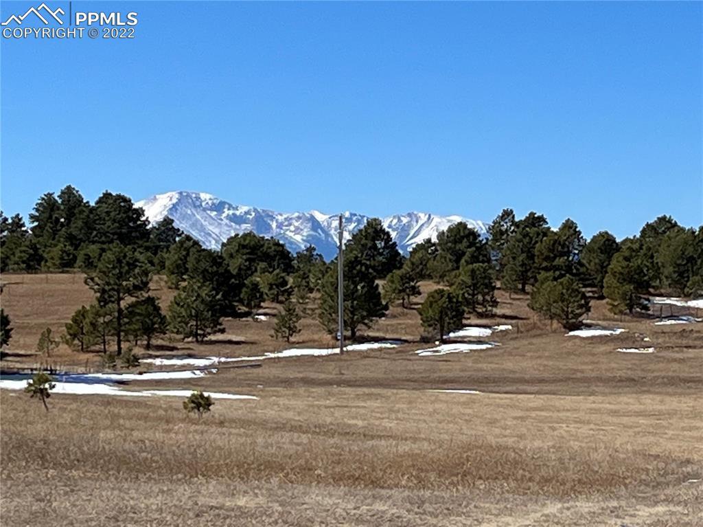 16310 Cherry Crossing Dr., Colorado Springs, CO 80921